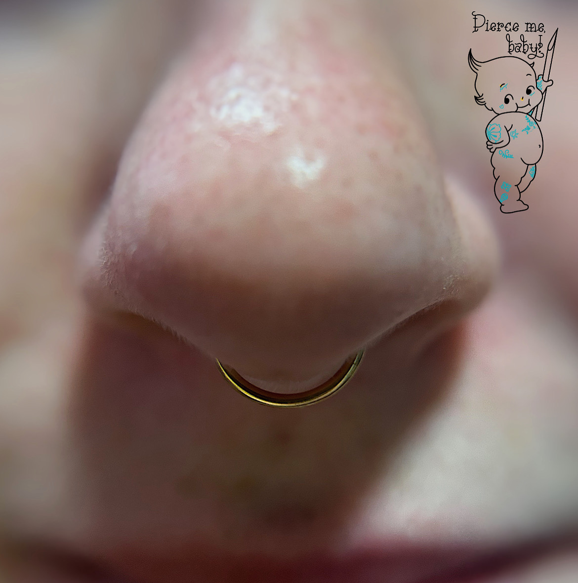 Gold septum ring piercing by Fiona Luddy who works at Resilience Body Arts in Maynard, MA